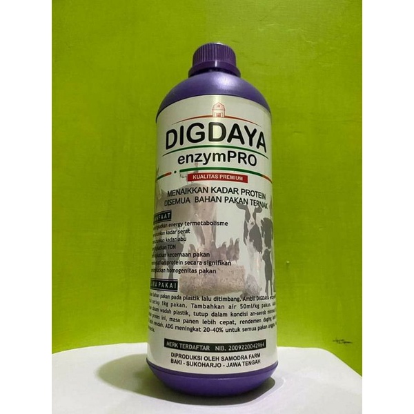 Enzyme digdaya pemecah. protein