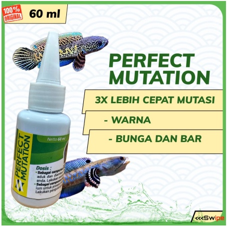 THE BEST PERFECT MUTATION OBAT MUTASI IKAN CHANNA VITAMIN CHANA MARU ANDRAO BARCA AURANTI MACULATA SEMUA JENIS CANA LAINNYA