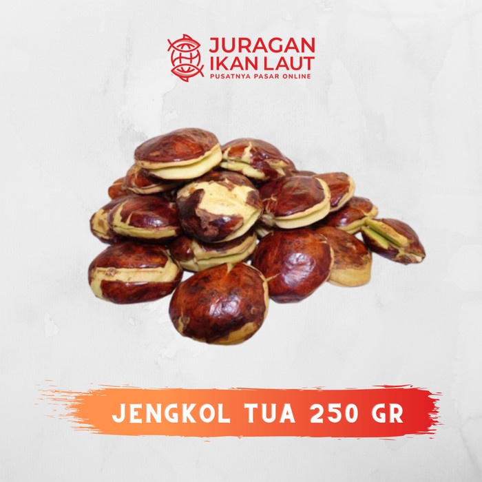 

Jengkol Tua Berkualitas - 250 Gram