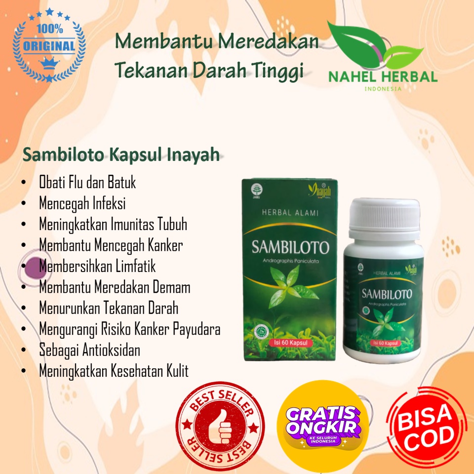 Obat Kolesterol Cina Herbal Jsr Bpom - Sambiloto Kapsul Inayah - Jamu Asam Urat Nyeri Sendi Paling A