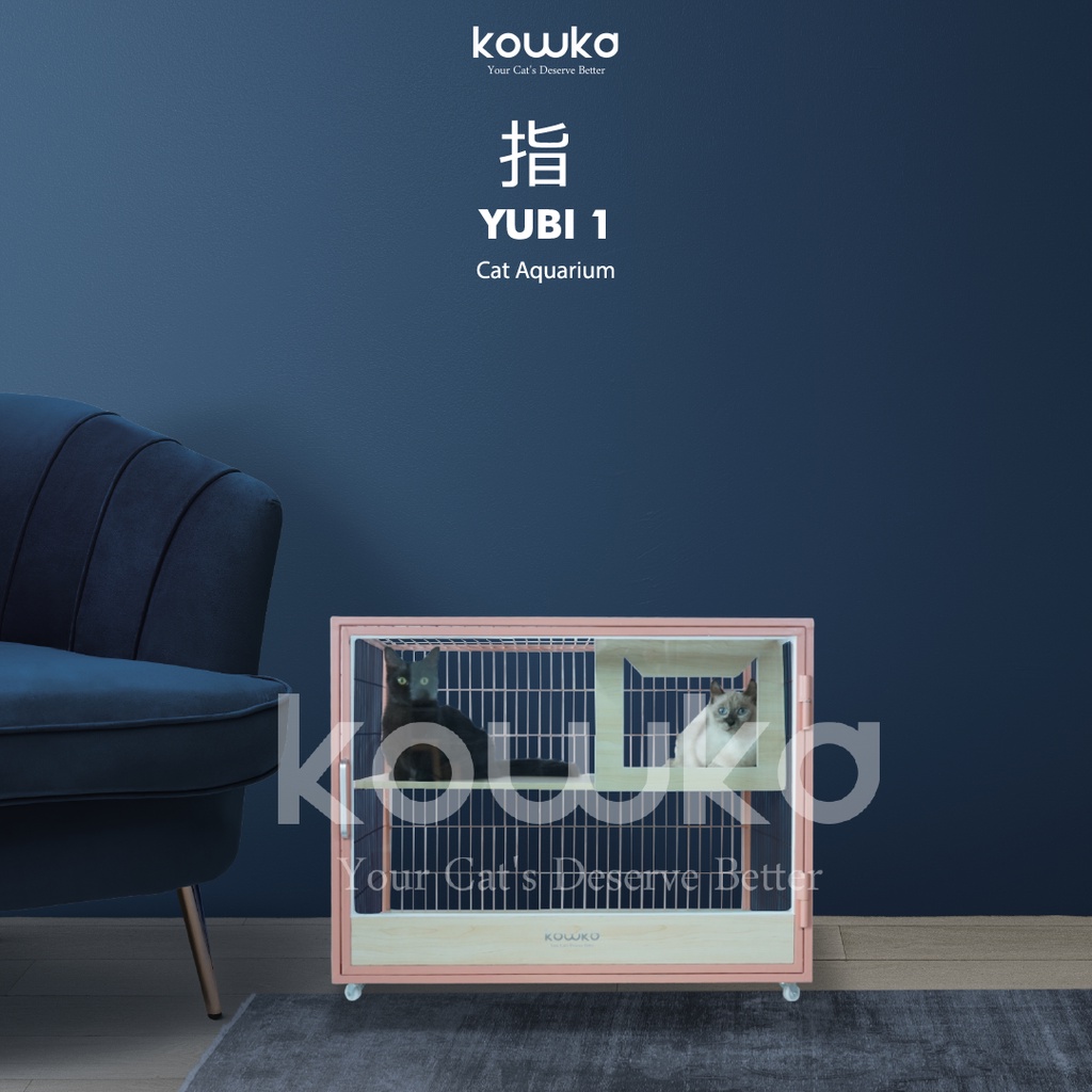 Yubi 1 | Cat Aquarium | By Kowka Indonesia