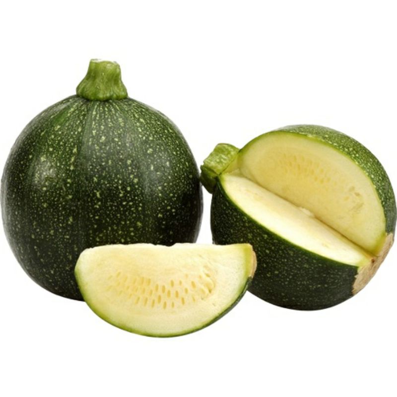 Benih ZUCCHINI BULAT HIJAU import langka isi 1 biji