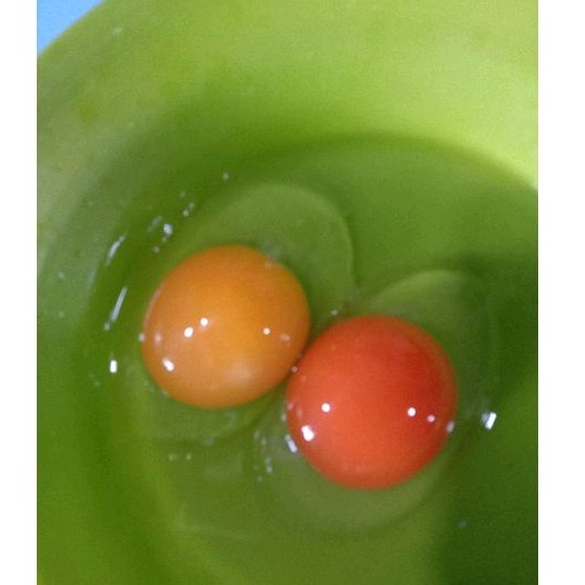 

Telur Bebek Mentah Omega 3