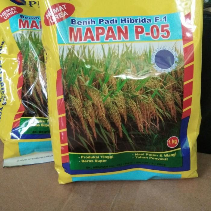 Benih Padi Mapan 05 Hibrida Best Seller