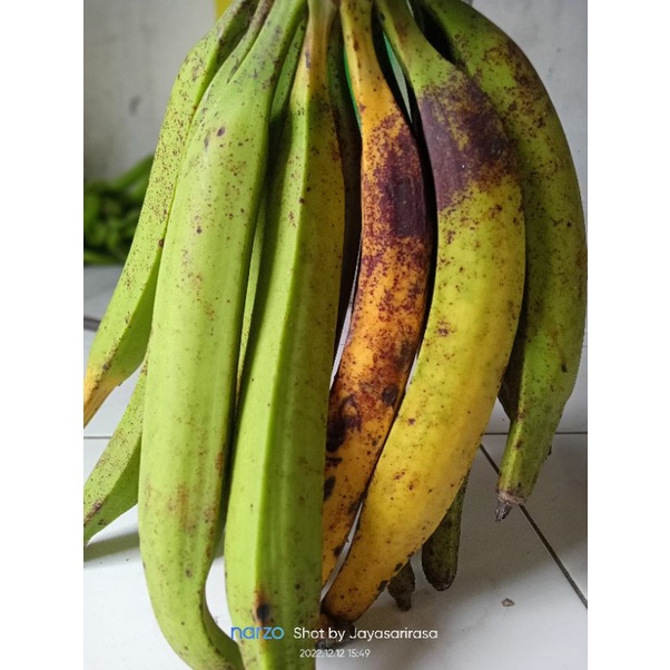 

Pisang Bagja Per Sisir 1Kg