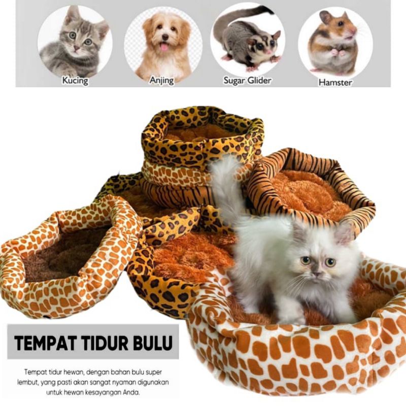 TEMPAT TIDUR KUCING MODEL SOFA