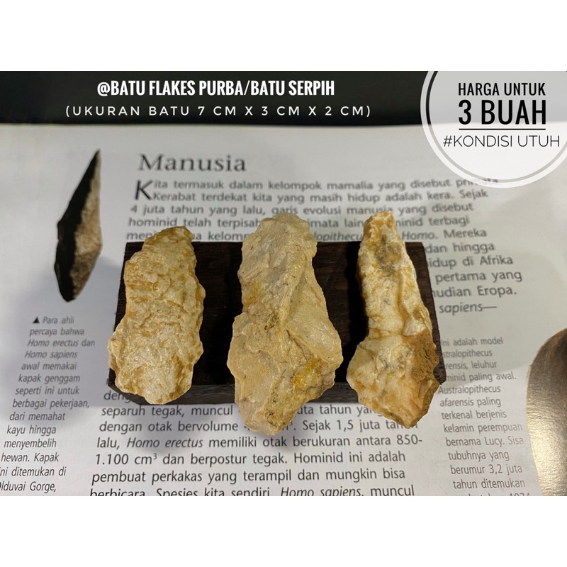 Batu Flakes Purba C21 atau Batu Serpih atau Kapak Batu atau Alat Alat Serpih Bilah atau Kapak Gengga