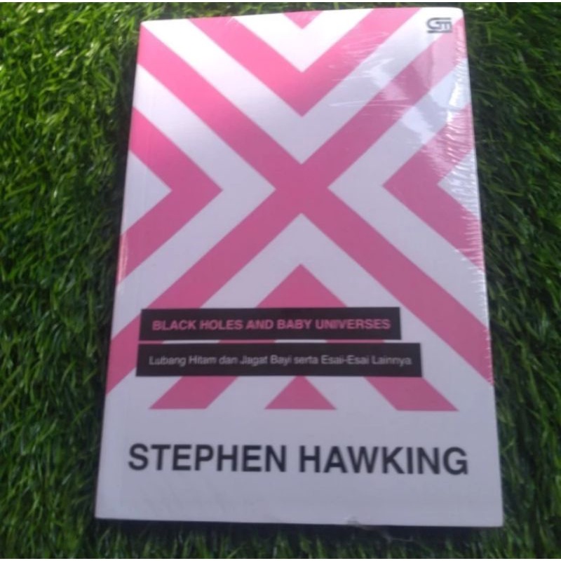 BUKU BLACK HOLES AND BABY UNIVERSES