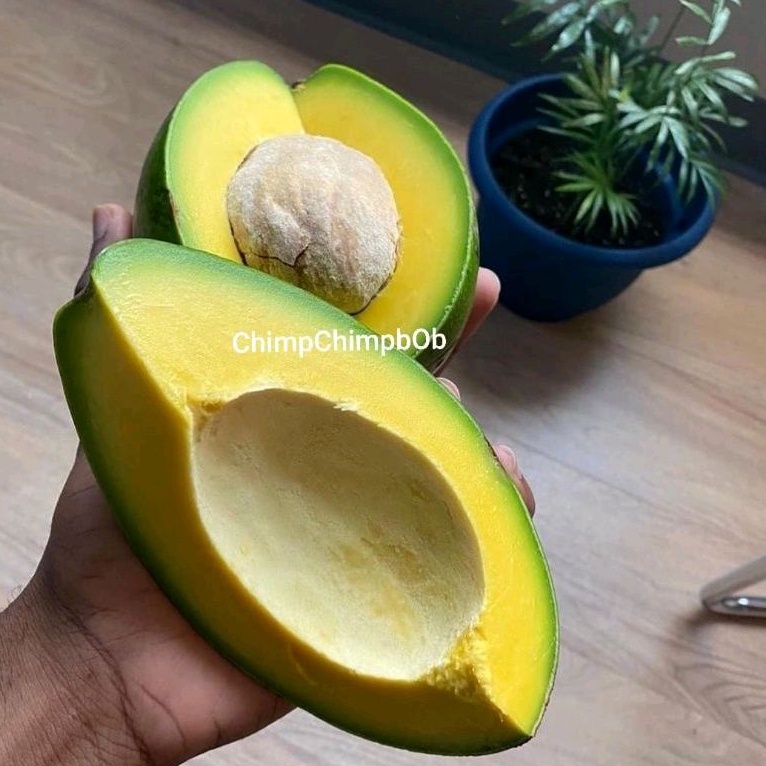 

ALPUKAT SEGAR 1 KG / FRESH AVOCADO 1 KG