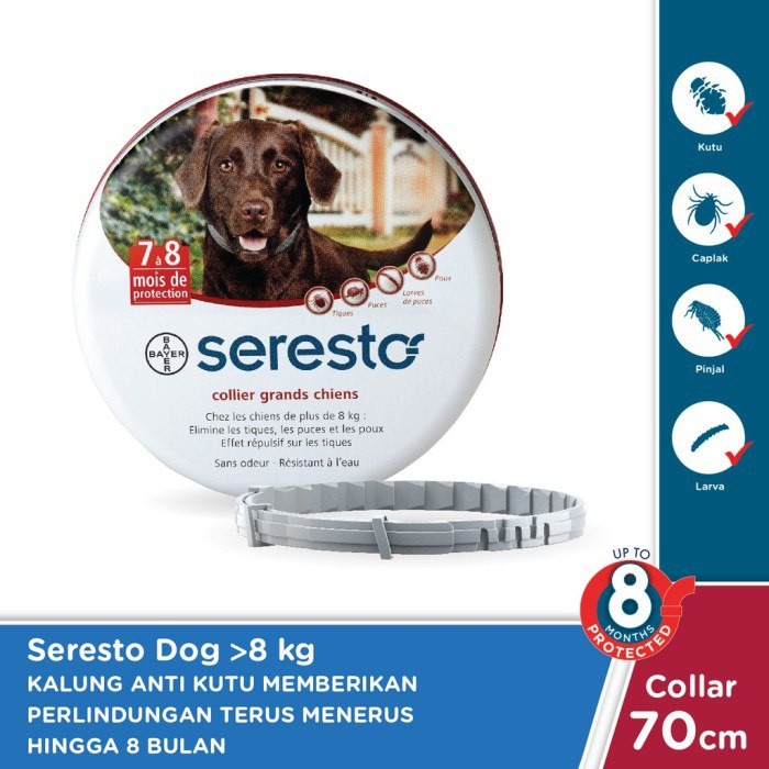 SERESTO DOG - KALUNG ANTI KUTU ANJING PROTEKSI 8 BULAN