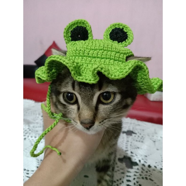 Topi Kucing Crochet