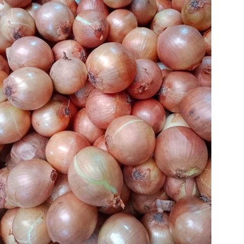 

Menarik ♛ BAWANG BOMBAY+