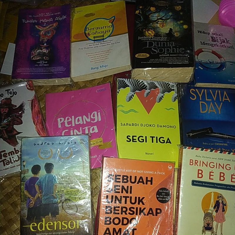 Preloved Buku Novel tembang tali jiwo sujiwo tejo, bersama cahaya bang miqo, sylvia day captivated b
