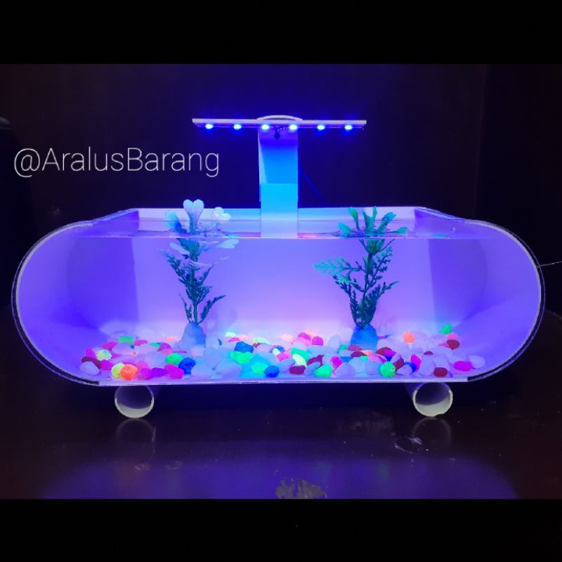 Aquarium Mini Fullset / Aquarium Akrilik / Aquarium Ikan Cupang