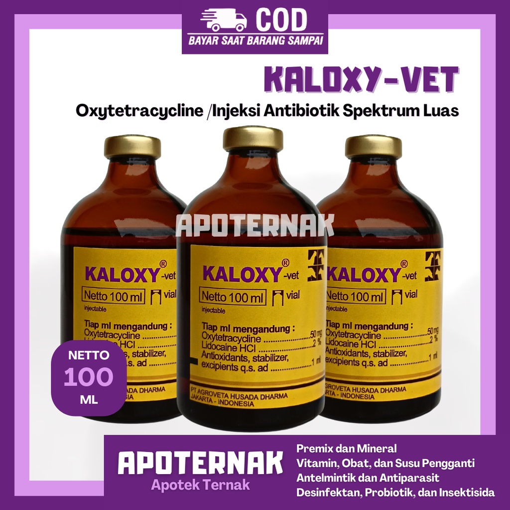 KALOXY VET 100 mL Oxy Tetra | Antibiotik Spektrum Luas Pernafasan dan Pencernaan | Seperti Vet Oxy SB | KALBE