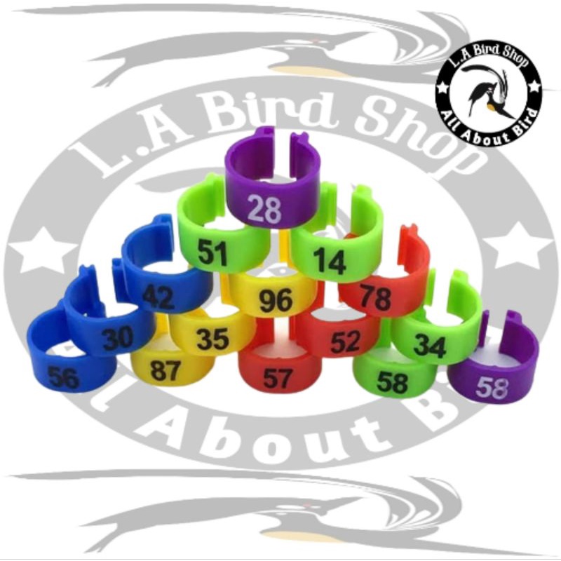 RING JEPIT PLASTIK KAKI BURUNG MURAI KENARI LOVEBIRD PLECI BLACKTHROAT FINCH