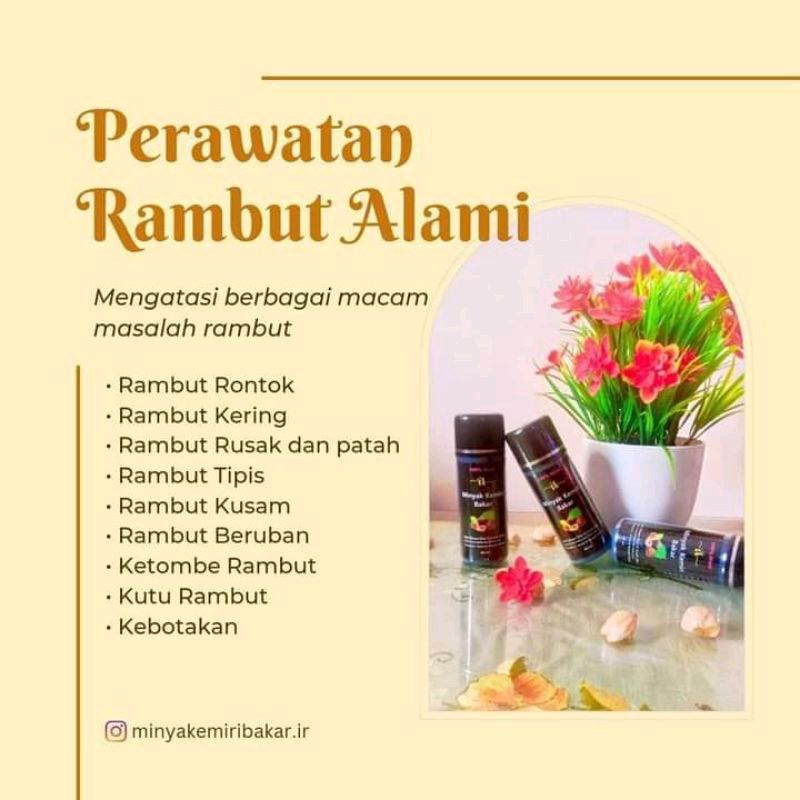 Minyak Kemiri Bakar IR