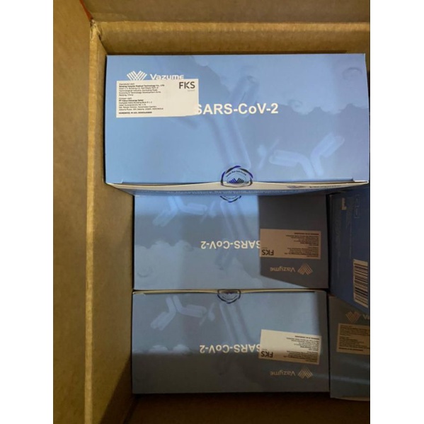 SWAB ANTIGEN VAZYME (ISI 20 PCS/BOX)