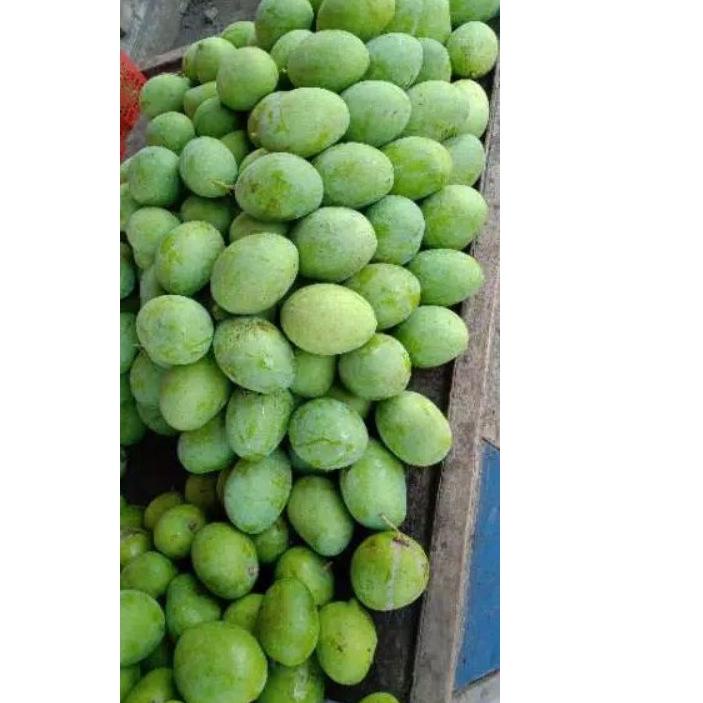 

PALING BAGUS Mangga harum manis khas situbondo 1 kg isi (3-4) ! 895