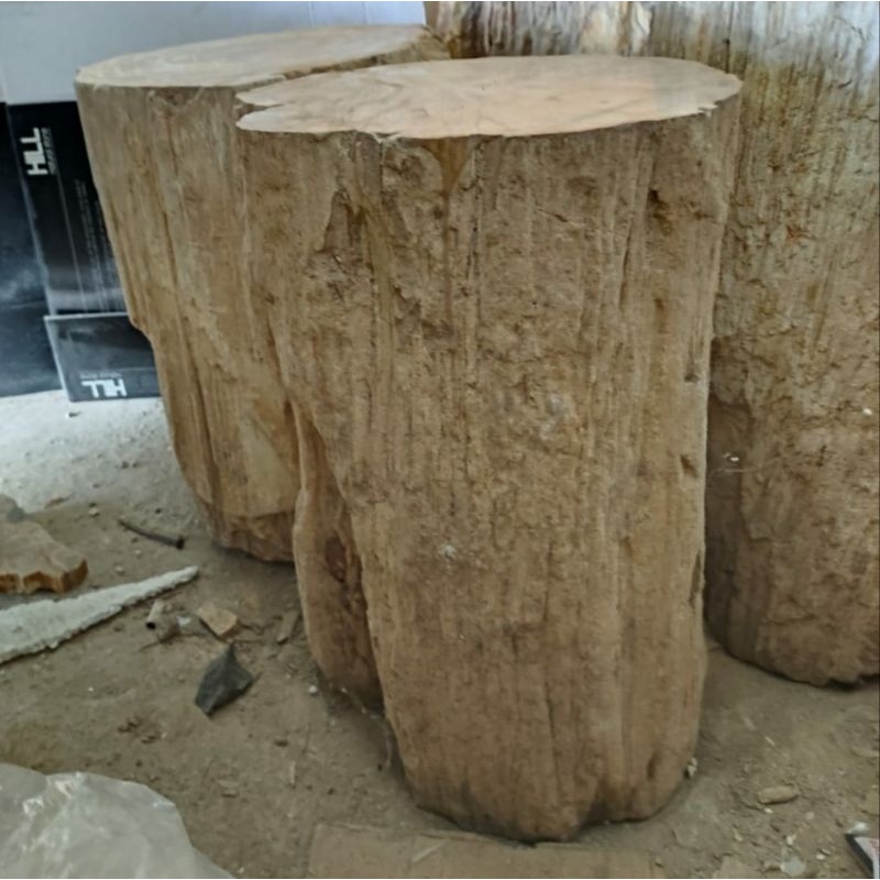 Kursi Batu Fosil Kayu