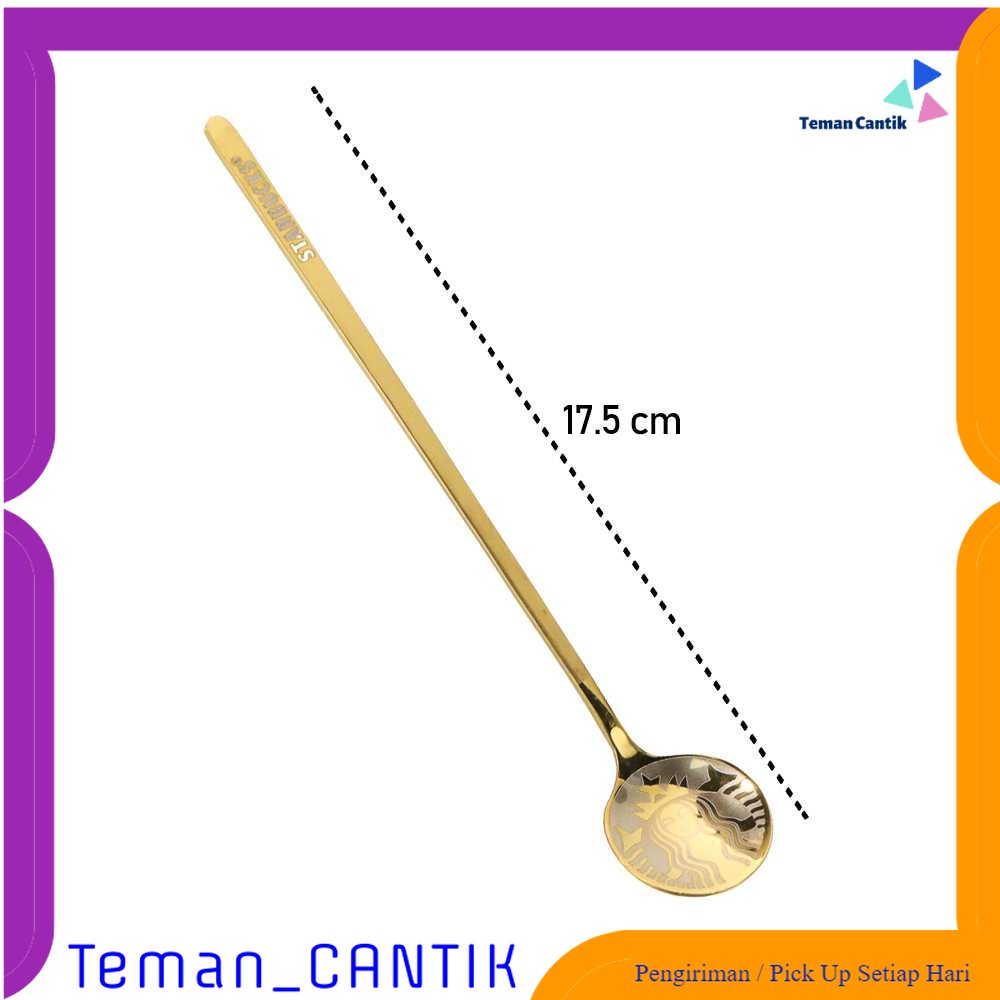 TC - DPR Moitakiy Sendok Makan Dessert Ice Cream Spoon Stainless Steel 17.5 cm - F89