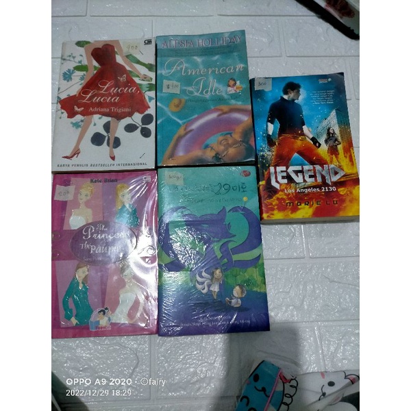 buku novel terjemahan preloved