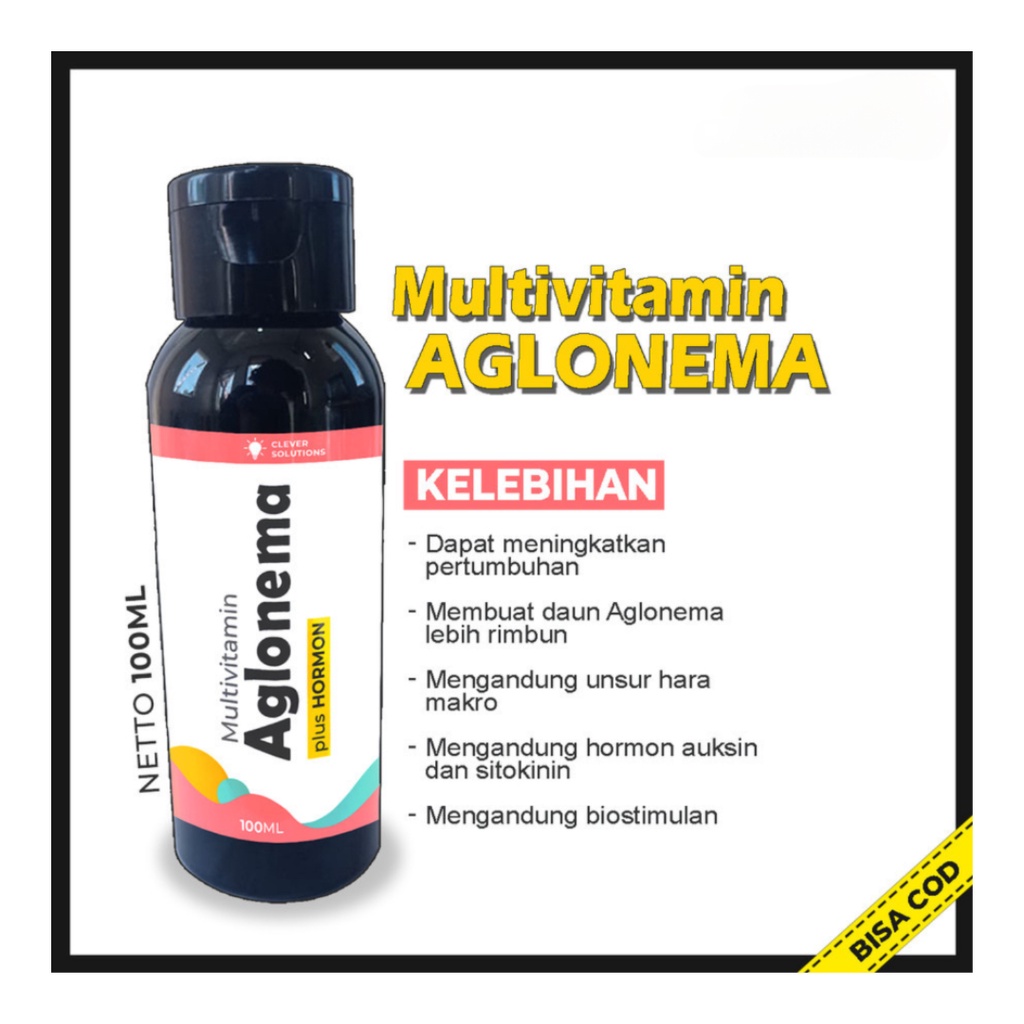 Pupuk AGLONEMA Multivitamin Aglonema Penggemuk dan Penumbuh Tunas Aglonema / Pigmentasi Warna Aglonema [ CS ]
