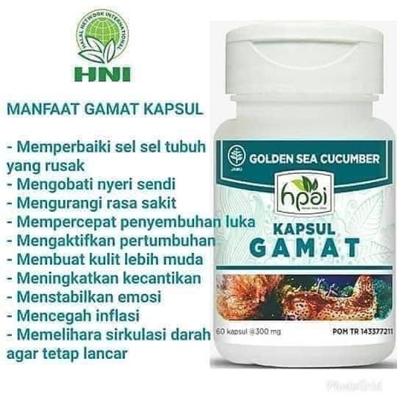 Gamat (Teripang Emas)