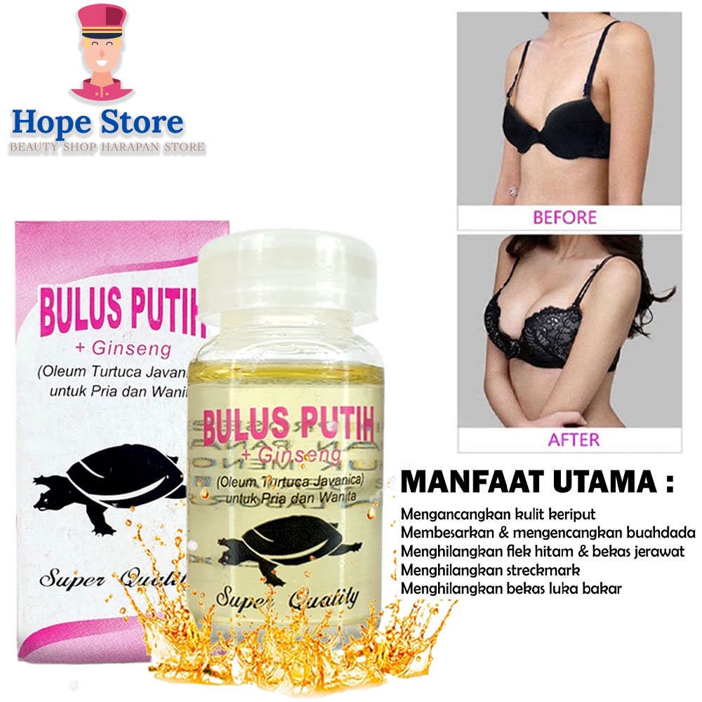 Hope Store - Minyak Bulus Eyang Laut Original 100%