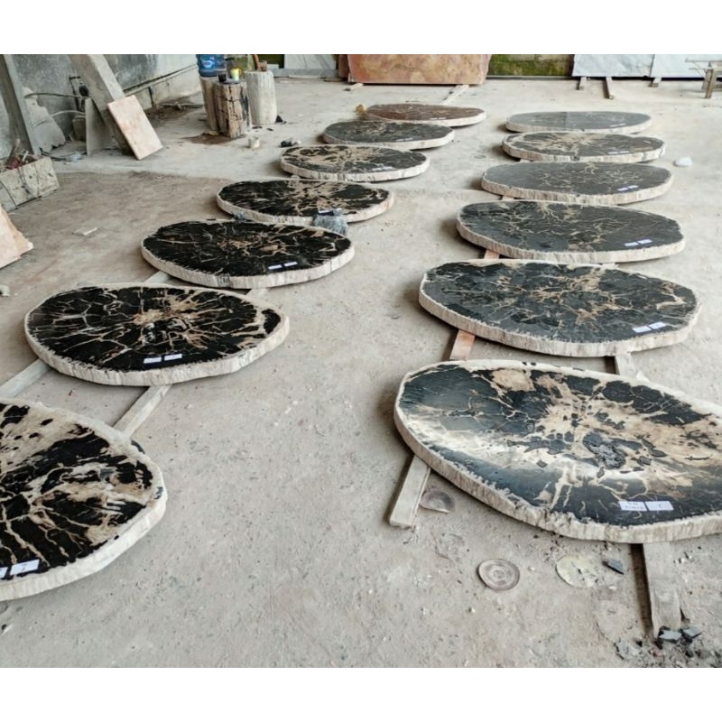 Daun Meja Fosil Kayu Hitam