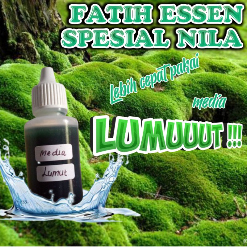ESSEN NILA MEDIA LUMUT