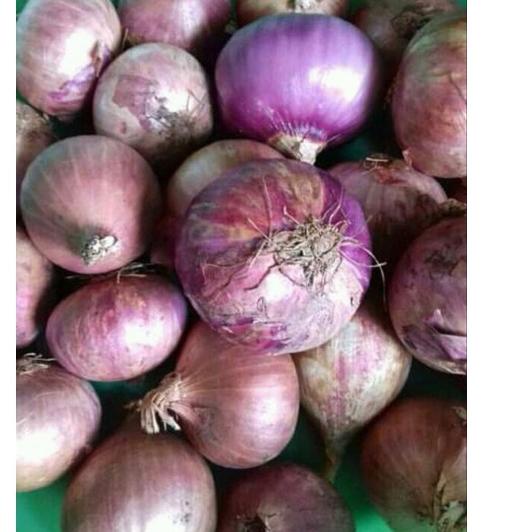 

D94™ bawang merah india 1 kg Koleksi Terbaru