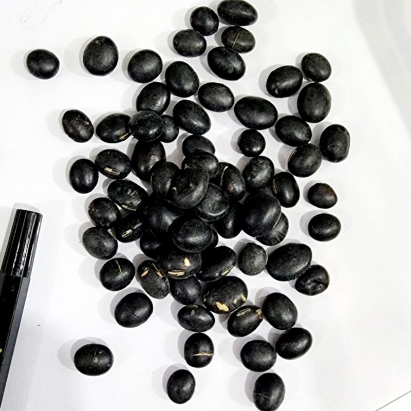 

kacang hitam / bu theu 青仁 黑豆 100 gram