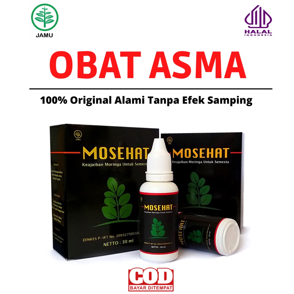 Obat Sesak Nafas Asma Perokok Berat Aktif Pasif Batuk Menahun Berdahak Mosehat Herbal Ampuh
