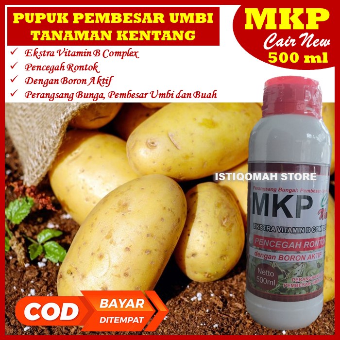 PROMO TERBARU Pupuk Pembesar Umbi Kentang MKP Cair New 500ml Pupuk Obat Pembesar Khusus Umbi Kentang