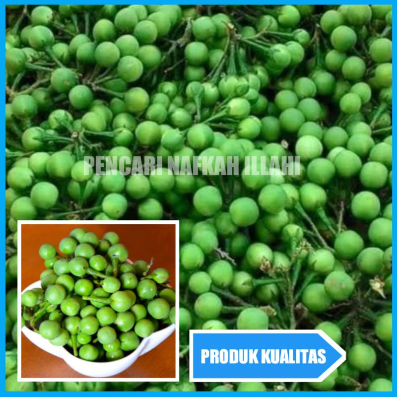 

Cepokak/Takokak 250gram