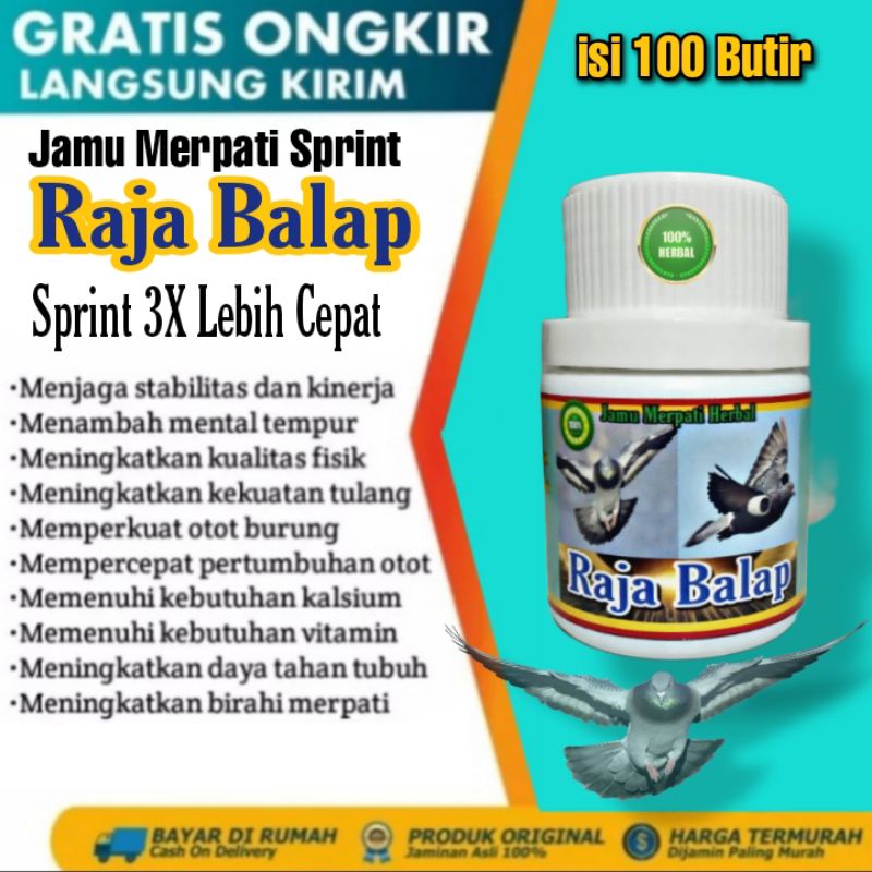 100 Butir JAMU MERPATI RAJA BALAP / Doping merpati balap sprint /Jamu Merpati dasar Doping merpati T