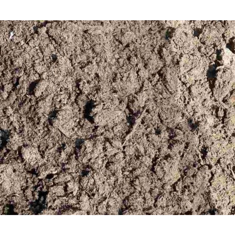 pupuk kandang ayam sekam berat 500grm