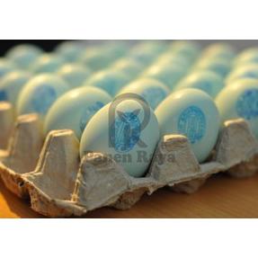 

↳ Telur Asin Telor Bebek Masir Siap Makan ♟