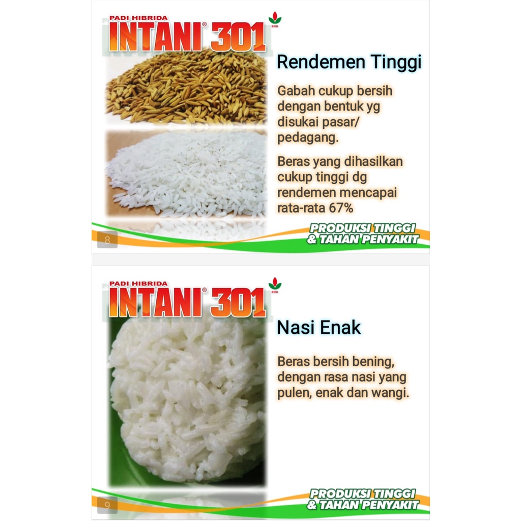 

INTANI 301 1Kg