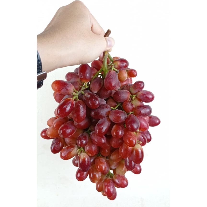 

Anggur Crimson Sweet Red Seedless Grapes IMPORT 500 gr