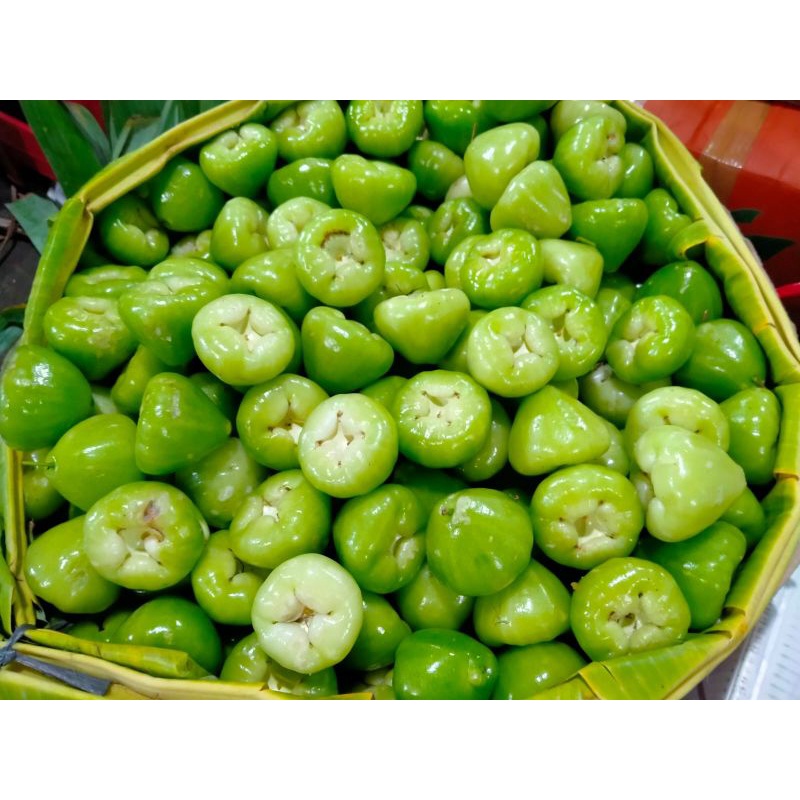 

Jambu air apel hijau fresh 1kg