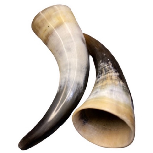 ALAT KOP BEKAM ASLI TANDUK