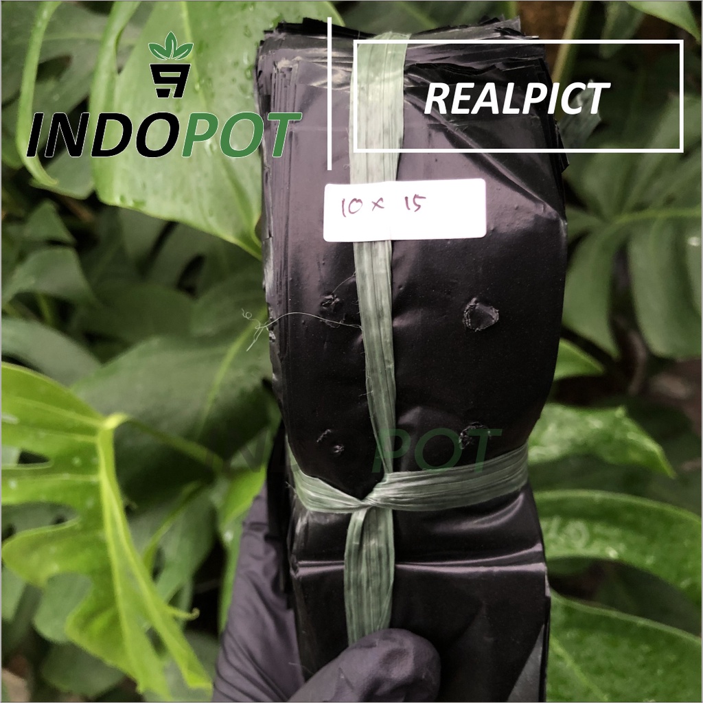 Alltechshop_ Polybag Paket 500 Lembar Ukuran 10X15 Polybag Kecil Tinggi Polybag Panjang
