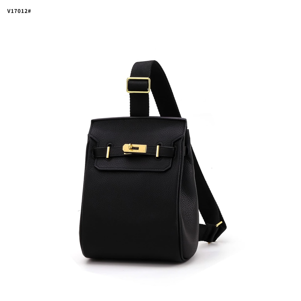 Backpack Gold Hardware V17012