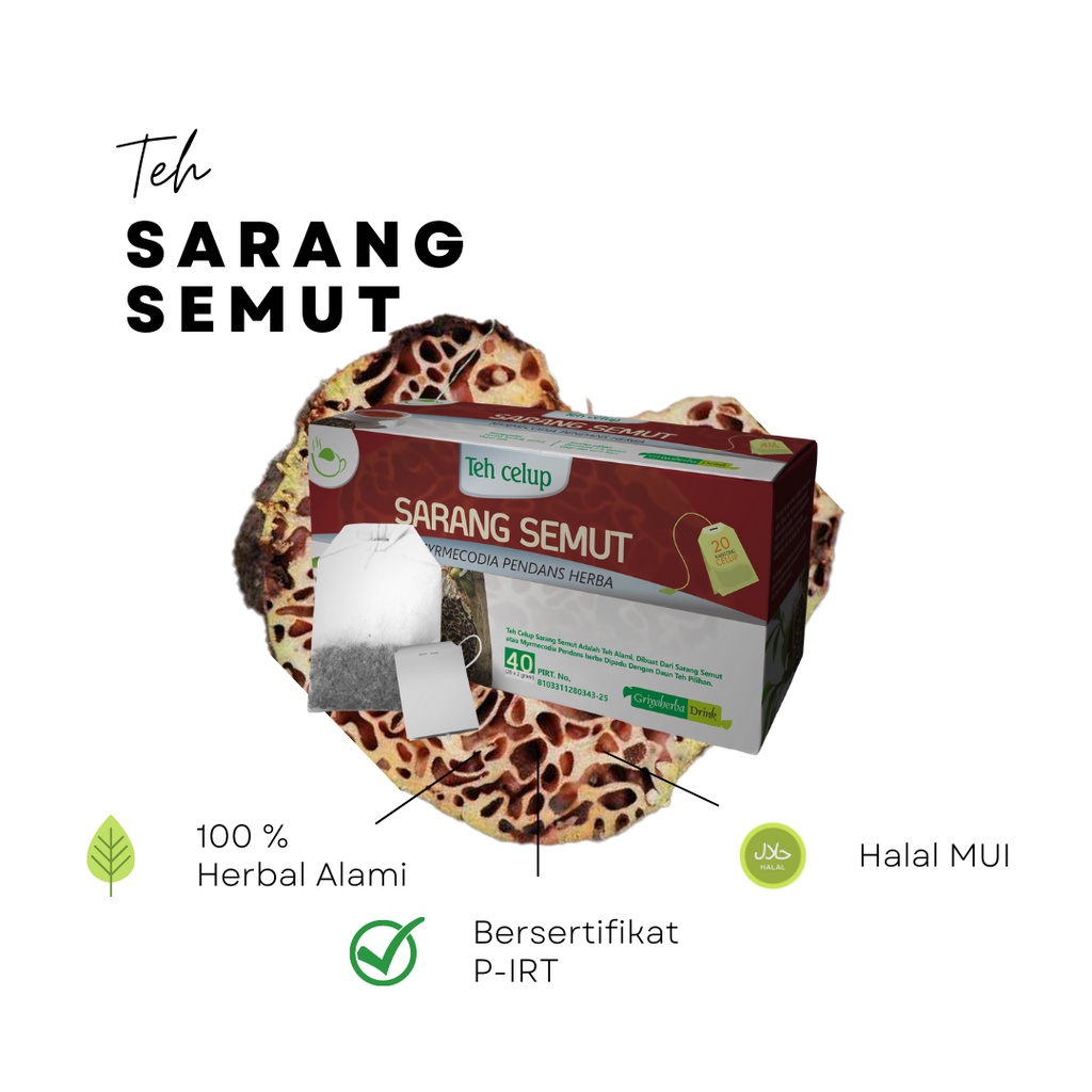 

Teh Celup Herbal Sarang Semut Griya Herba Minuman Anti Kanker, Rematik dan Asam Urat Obat Kanker 20 Kantong