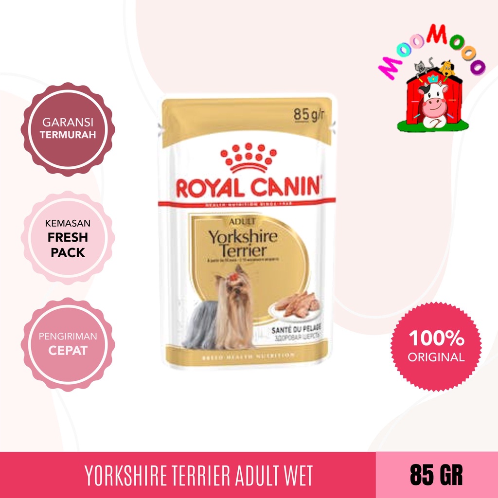 Makanan Anjing Royal Canin Yorkshire Adult 85 Gram / Wet Pouch Sachet