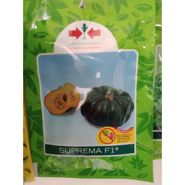 benih labu suprema 95butir original