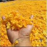 

keripik / emping jagung (mentahan)