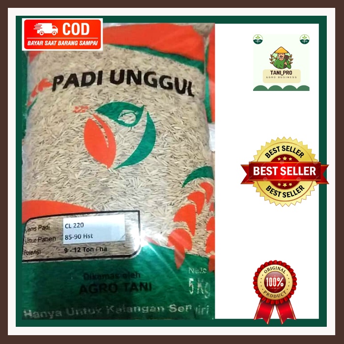 Benih Bibit Unggul Padi CL220 CL 220 GALUR LOKAL BERAT 5KG